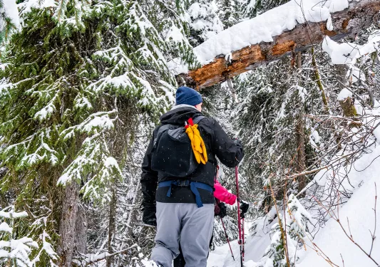 Guests with snow shoes hiking through trail.