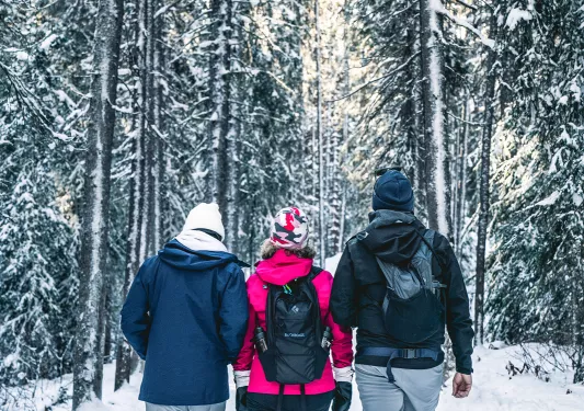 Three Guests Hiking Snow Canada