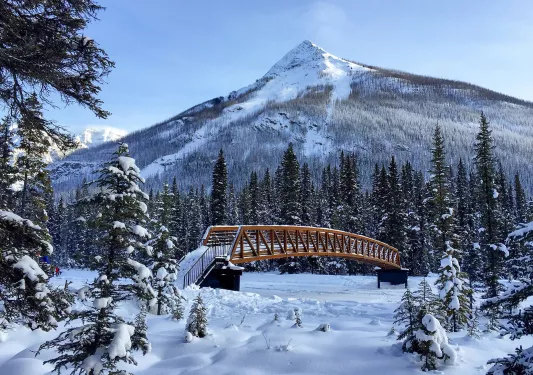 Wide shot of snowy bridge, Rockies in background.