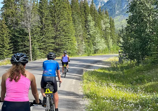 Three guests cycling down road, trees, mountains around them.