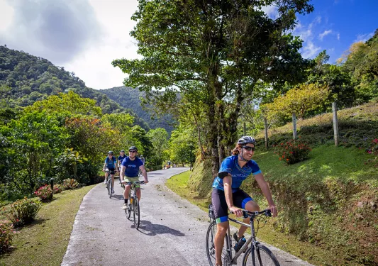 Group Cycling Up Road Coast Rica