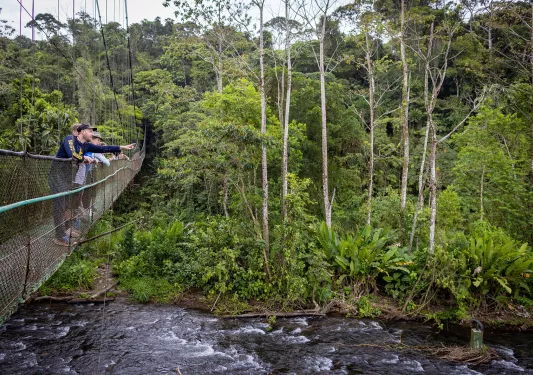 Everyone Looking Down River From Suspension Bridge