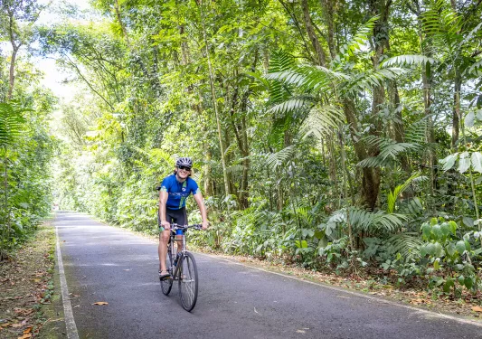 Riding Trough Jungle Costa Rica 