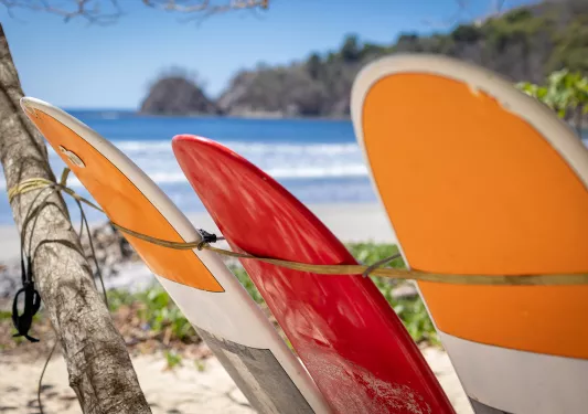 Surfboards Upright Beach Overlooking Surf Break 