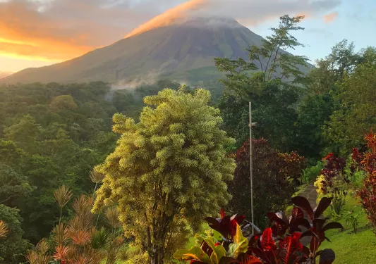 Trees and Sunrise Clouds Shrouding Mountain Top