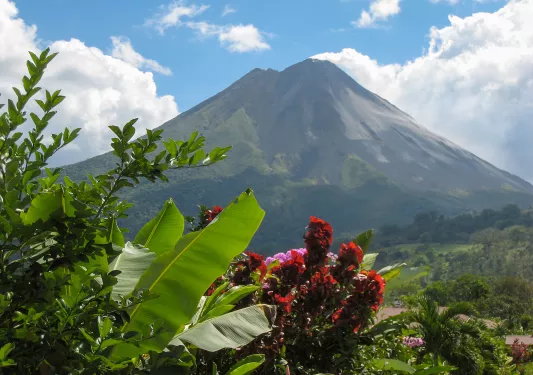 Tree view Arenal Volcano 
