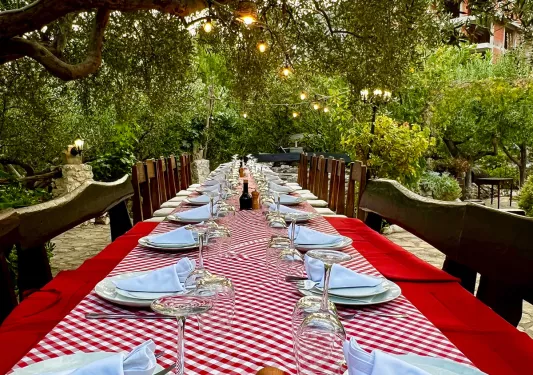 Shot of dinner table, red tablecloth, trees above.