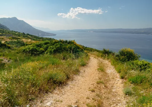 POV shot on coastal trail, ocean to right.