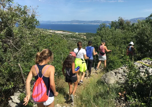 Guests walking down hillside trail, trees, large river in distance.
