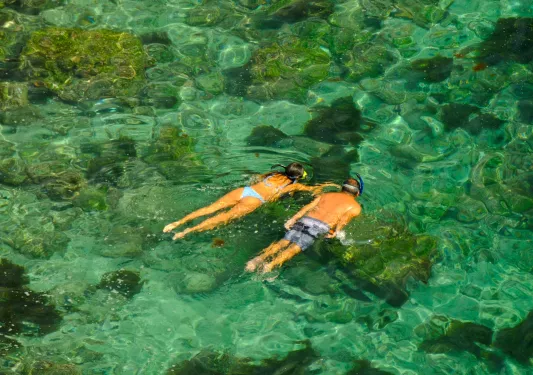 Two people snorkeling 