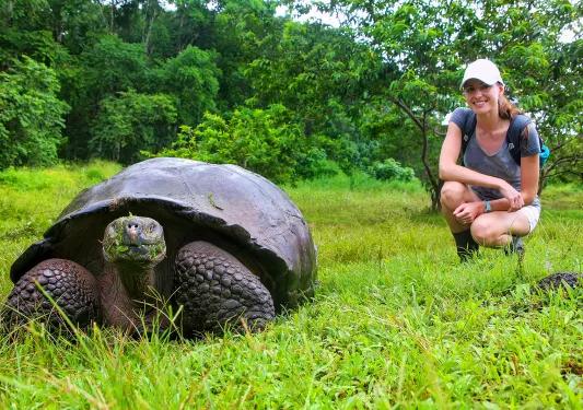Giant Turtle Guest Kneeling Ecuador
