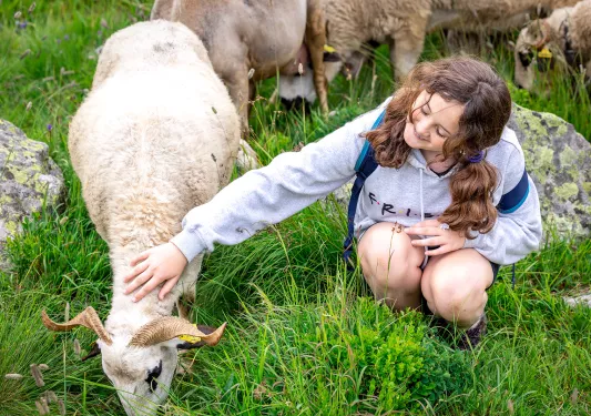 Young guest petting white sheep.