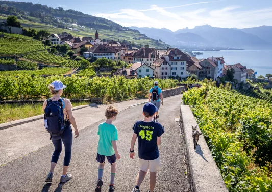 Four guests walking towards vineyard town, cat walking beside them.
