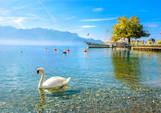 Sunny Lake Geneva, pier in background.