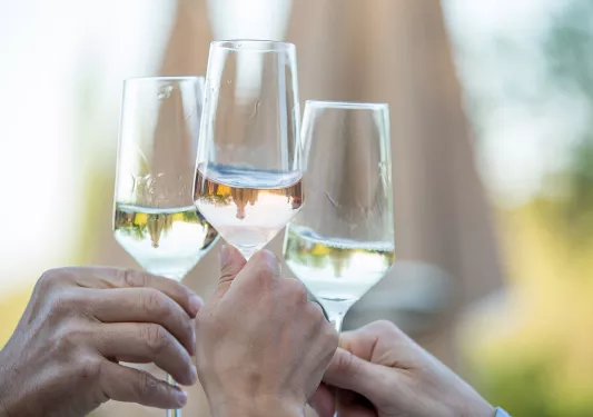 Guests toasting with champagne