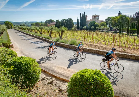 Group of bikers riding beside a vineyard in France