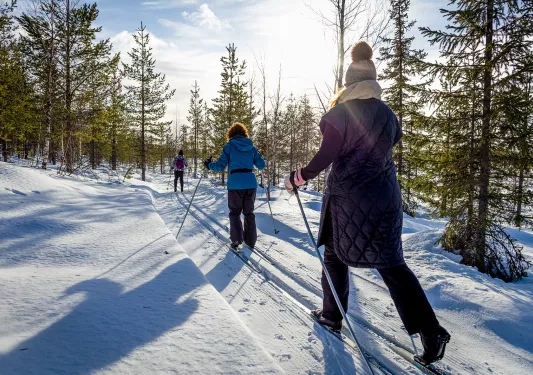 Cross Country Skiing Arctic