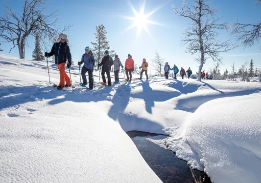 Group Snow Shoeing Creek Iceland