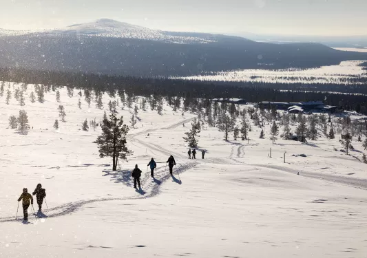 Snowshoeing From Lodge Iceland
