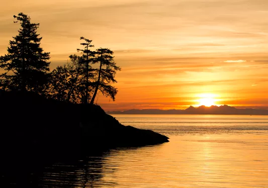 Shadowy forest during sunset, craggy mountain peaks in distance.