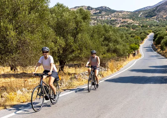Two guests cycling down grassy, golden road, trees on either side, hills behind them.