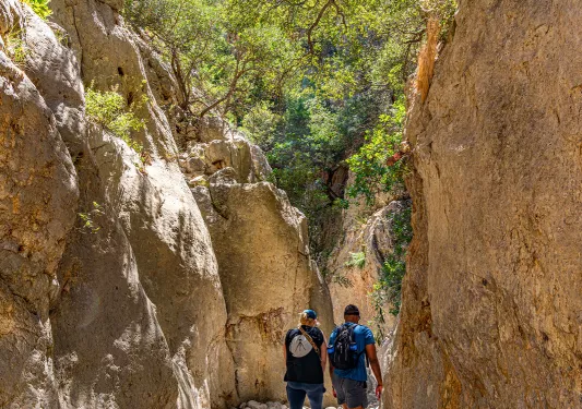Two guests walking between large cliffs.