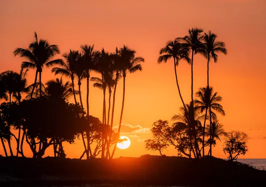 Sunset in Hawaii