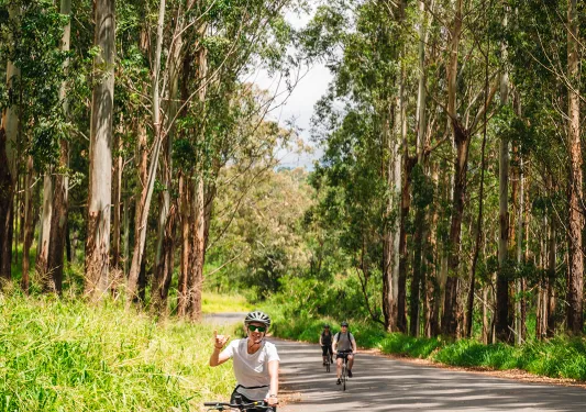 Riding along a road in Hawaii