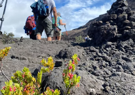 Walking among lava rocks in Hawaii