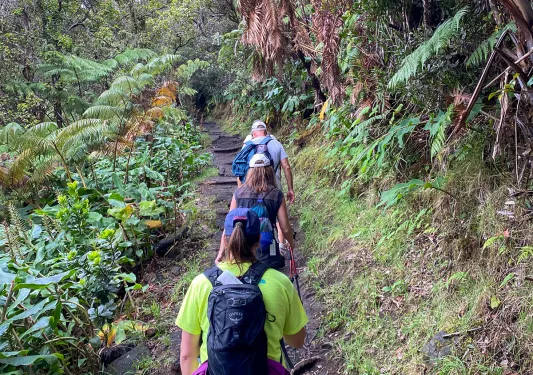 Hiking through a jungle in Hawaii