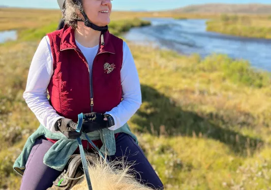 Guest on horseback among meadow.