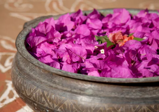 Bowl of bright purple flowers in India