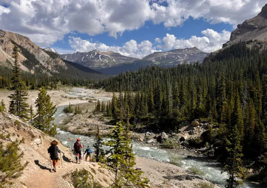 Three guests hiking down hillside, towards flowing stream, mountains, forest.