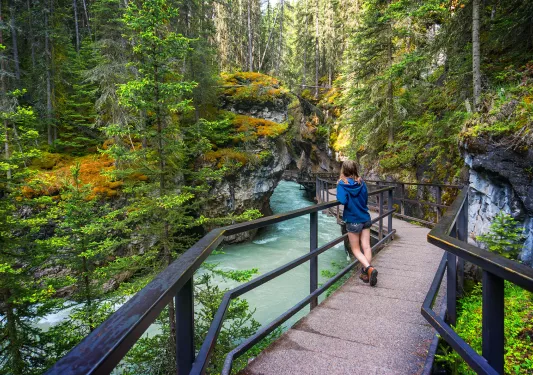 Young guest on bridge over river, looking out towards forest.