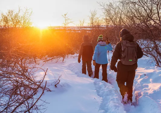 Snowshoeing Into Sunset Iceland
