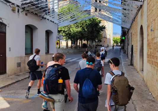 Group of guests walking down street towards city center.