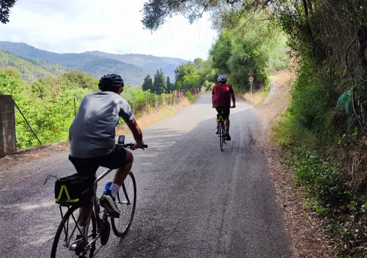 Two guests cycling down tree-covered road, hills in distance.