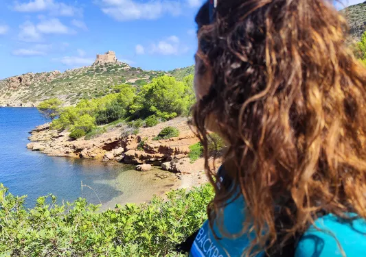 Over the shoulder shot of guest looking at craggy coastline.