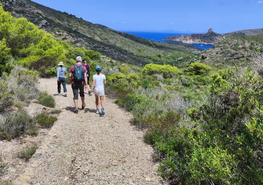 Four guests walking towards valley coast.