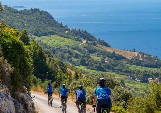Four guests cycling down coastal road, hillside, ocean in distance.