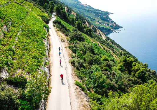 Guests cycling down forested coastal road, ocean to their right.