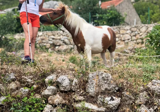 Guest in rocky, grassy hilltop, petting mini horse.