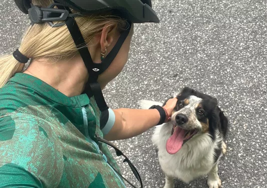 Cyclist Petting Dog