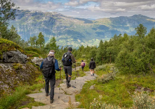 Hiking Down Stone Path