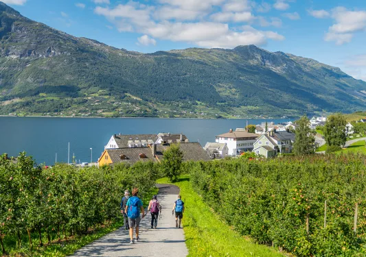 Walking Path Fjord Norway