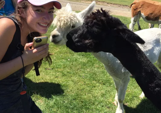 Woman posing with llamas in New Zealand