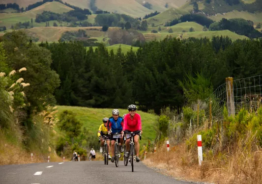Biking along a road among grassy fields in New Zealand