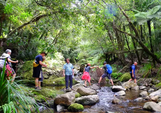 Walking across a stream in New Zealand