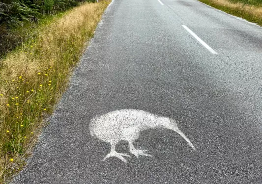 Shape of a kiwi bird spray painted on a road in New Zealand