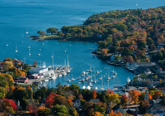 Wide shot of port and numerous small boats around autumnal forest.